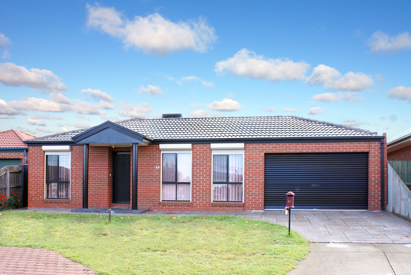 JASMINE'S ROSE Picture 1