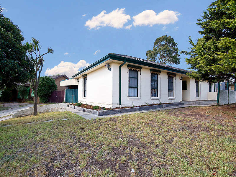 CIRCLE THIS ONE Picture 2