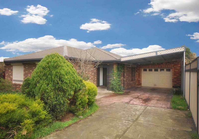 SIZED RIGHT, POSITIONED PERFECT Picture 1