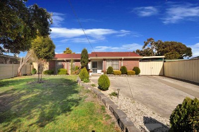 WITH ONE WORD "IMMACULATE" Picture