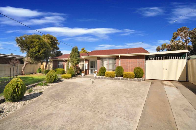 WITH ONE WORD "IMMACULATE" Picture 3