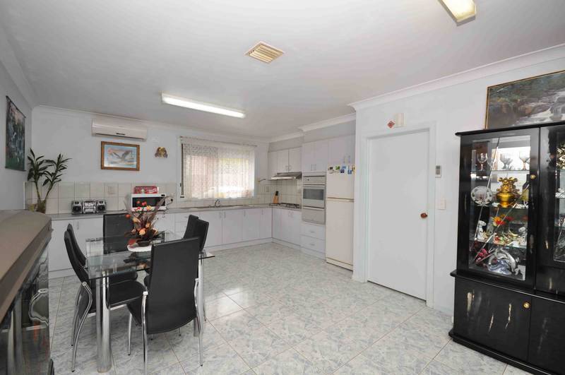 JEWEL OF THE FOREST Picture 3