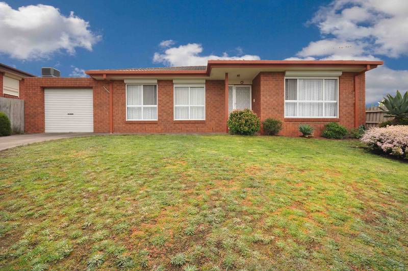 JEWEL OF THE FOREST Picture 1