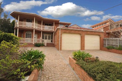 BLUE RIBBON BEAUTY Picture