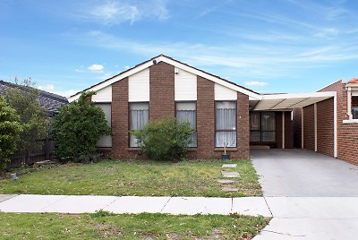 A GOLDEN OPPORTUNITY Picture A GOLDEN OPPORTUNITY Picture