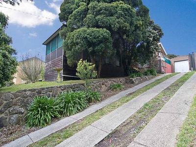 STOP! LOOK! BEFORE YOU BUY Picture STOP! LOOK! BEFORE YOU BUY Picture