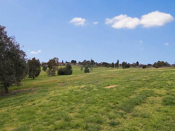 STOP! LOOK! BEFORE YOU BUY Picture 3