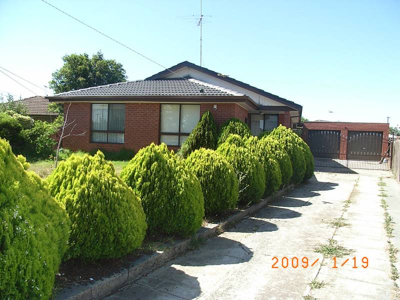 YOU WILL LOVE THIS Picture 1