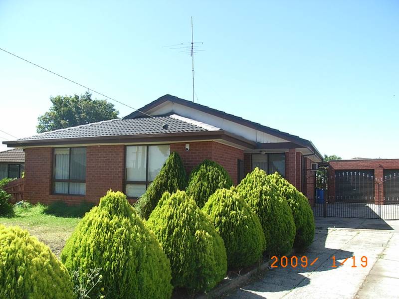 YOU WILL LOVE THIS Picture 2