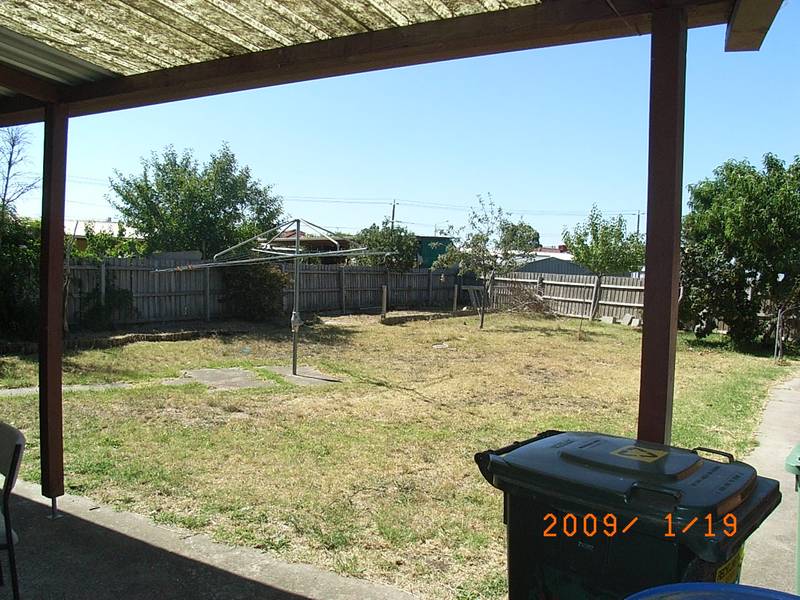 YOU WILL LOVE THIS Picture 3