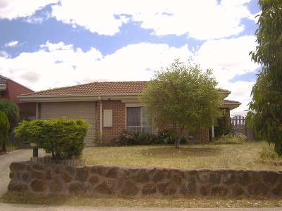 GREAT STARTER Picture