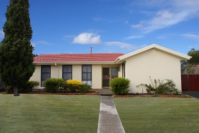 OPTIONS ARE OPEN Picture