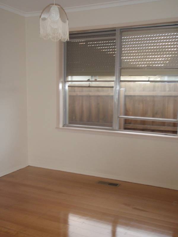 LOOK NO FURTHER! Picture