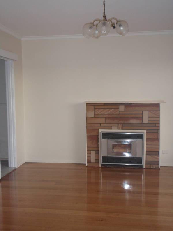 LOOK NO FURTHER! Picture