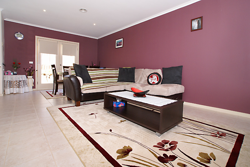 DISCOVER SOMETHING SPECIAL Picture 3