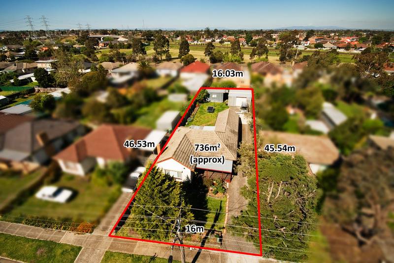 PRIME LOCATION AND MANY OPTIONS Picture 2