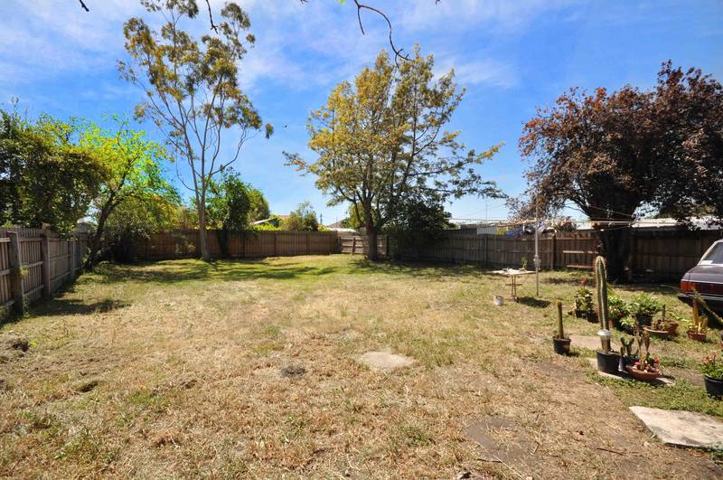 LATER MAY BE TOO LATE Picture 2