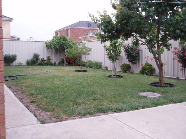 AS NEW. GREAT 4 BEDROOM HOME AND SPACIOUS Picture