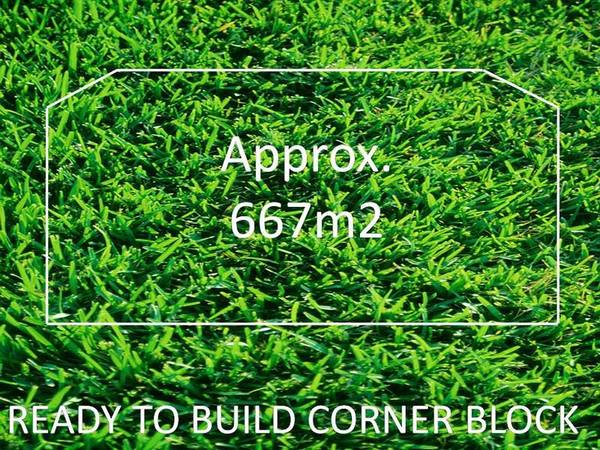 THIS IS THE SPOT Picture 1