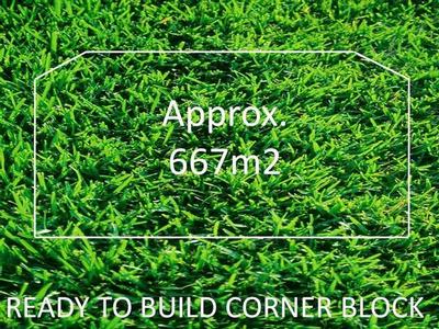 THIS IS THE SPOT Picture