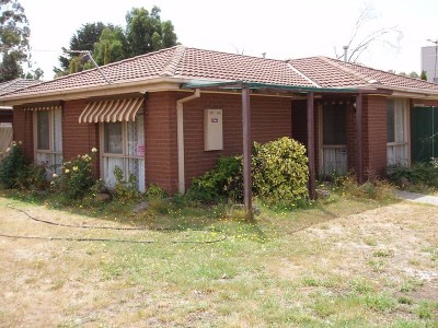 CATCH A FALLING PRICE TAG Picture