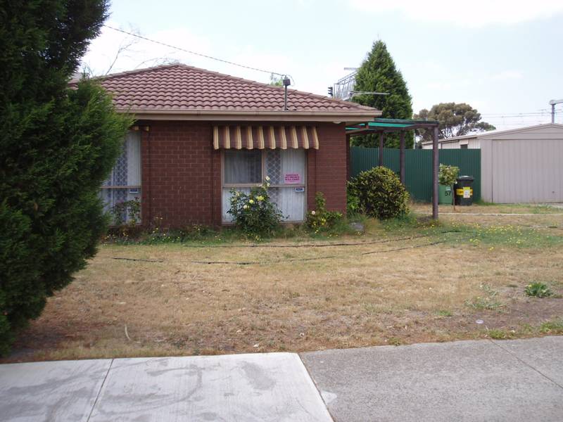 CATCH A FALLING PRICE TAG Picture