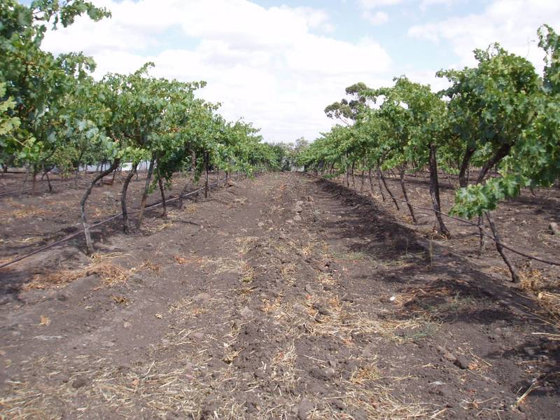 Open Space, 15 Acres Picture 3