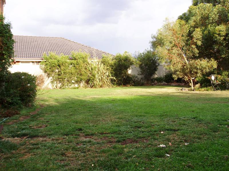 Live The Parkside Dream Picture 3