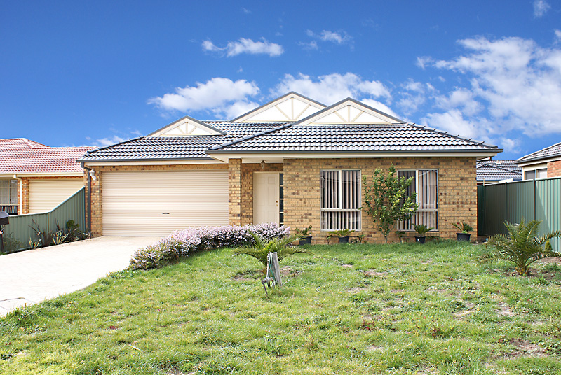 A Hidden Treasure. Picture 1