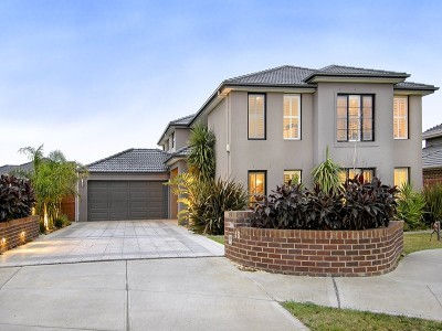 Beautiful but Majestic Picture