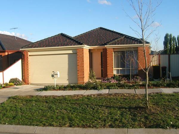 THE PERFECT OPPORTUNITY Picture 1