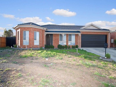 THE BUS STOP AT YOUR DOOR STEP Picture