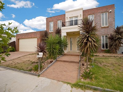 WHERE QUALITY MEETS THE EYE Picture WHERE QUALITY MEETS THE EYE Picture