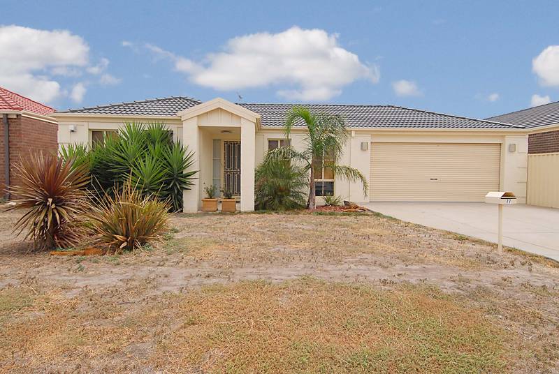 A PERFECT ENTERTAINER... Picture 1