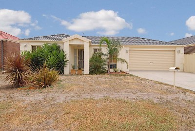 A PERFECT ENTERTAINER... Picture