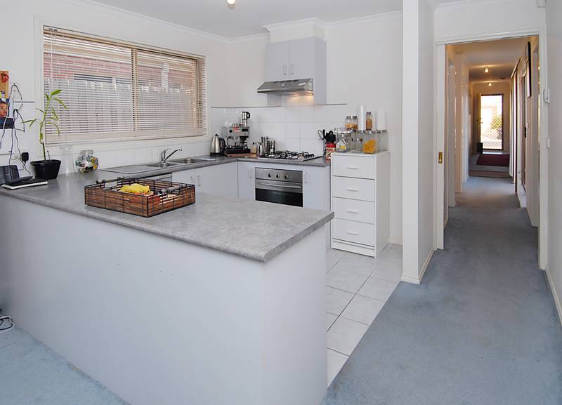 BEGIN OR EXPAND YOUR PORTFOLIO Picture 2