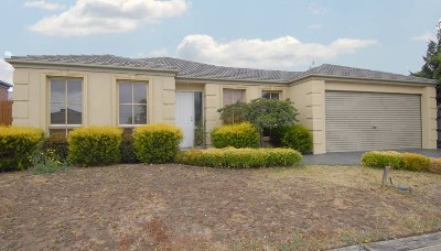 SEEING IS BELIEVING Picture