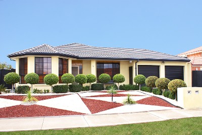 THE ULTIMATE FAMILY PACKAGE Picture