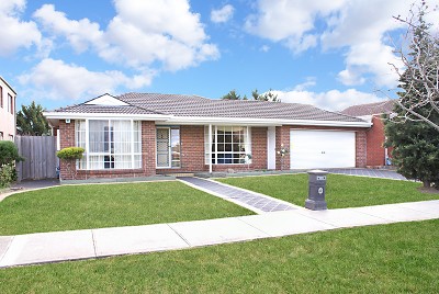 IN THE HEART OF IT! Picture