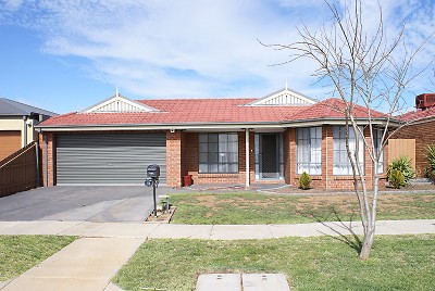 FAMILIES LOOK NO FURTHER Picture