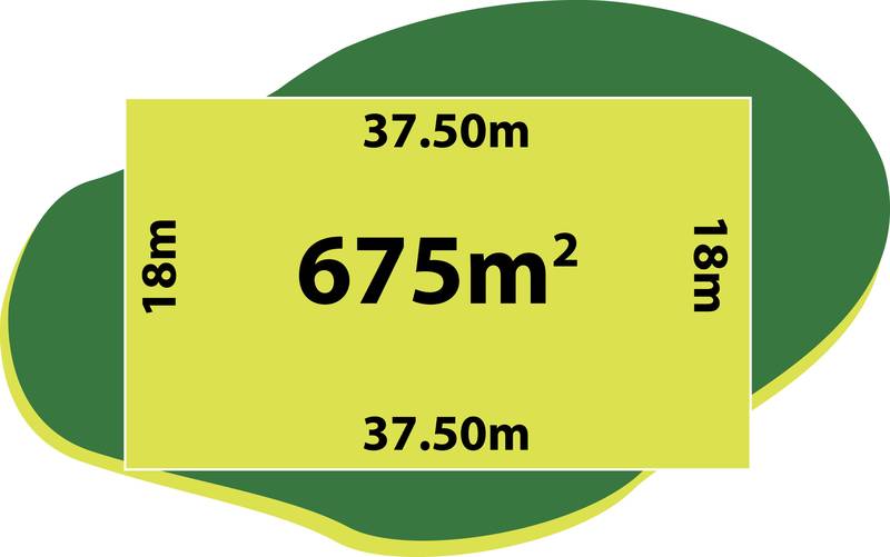 REALISE THE DREAM Picture 1