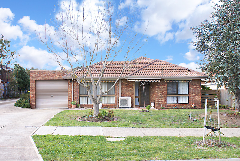 FANTASTIC PORTFOLIO STARTER  Picture 1