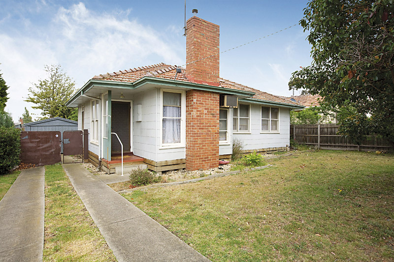 THE CHOICE IS YOURS Picture 1