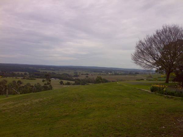 30 Acres of Natural Bush - Four Bedroom Home plus One Bedroom Bungalow Picture