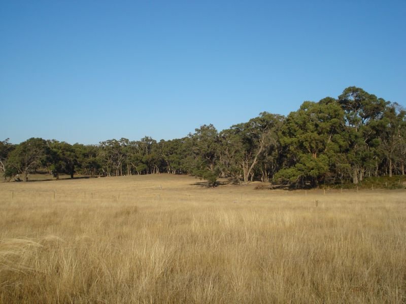 Boutique Acreage in 