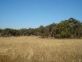 Boutique Acreage in 
