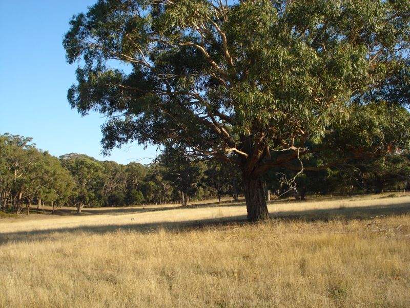 Boutique Acreage in 