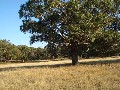 Boutique Acreage in 