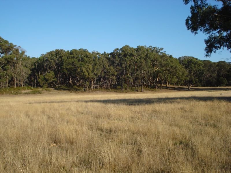 Boutique Acreage in 