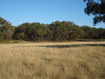 Boutique Acreage in 